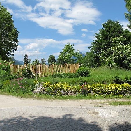 Апартаменты Alpenhof Punzenlehen Шёнау-ам-Кёнигсзе Экстерьер фото
