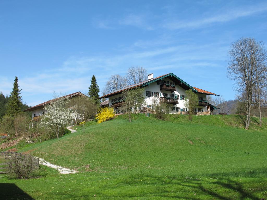 Апартаменты Alpenhof Punzenlehen Шёнау-ам-Кёнигсзе Экстерьер фото
