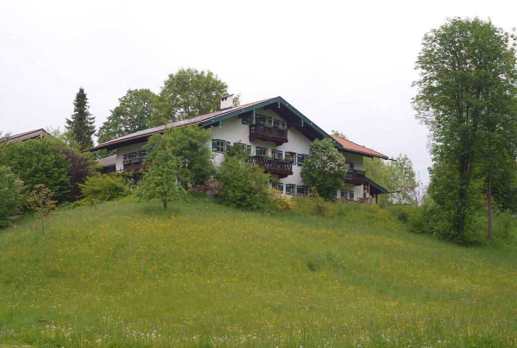 Апартаменты Alpenhof Punzenlehen Шёнау-ам-Кёнигсзе Экстерьер фото