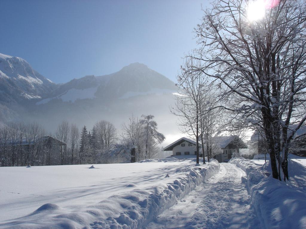 Апартаменты Alpenhof Punzenlehen Шёнау-ам-Кёнигсзе Экстерьер фото